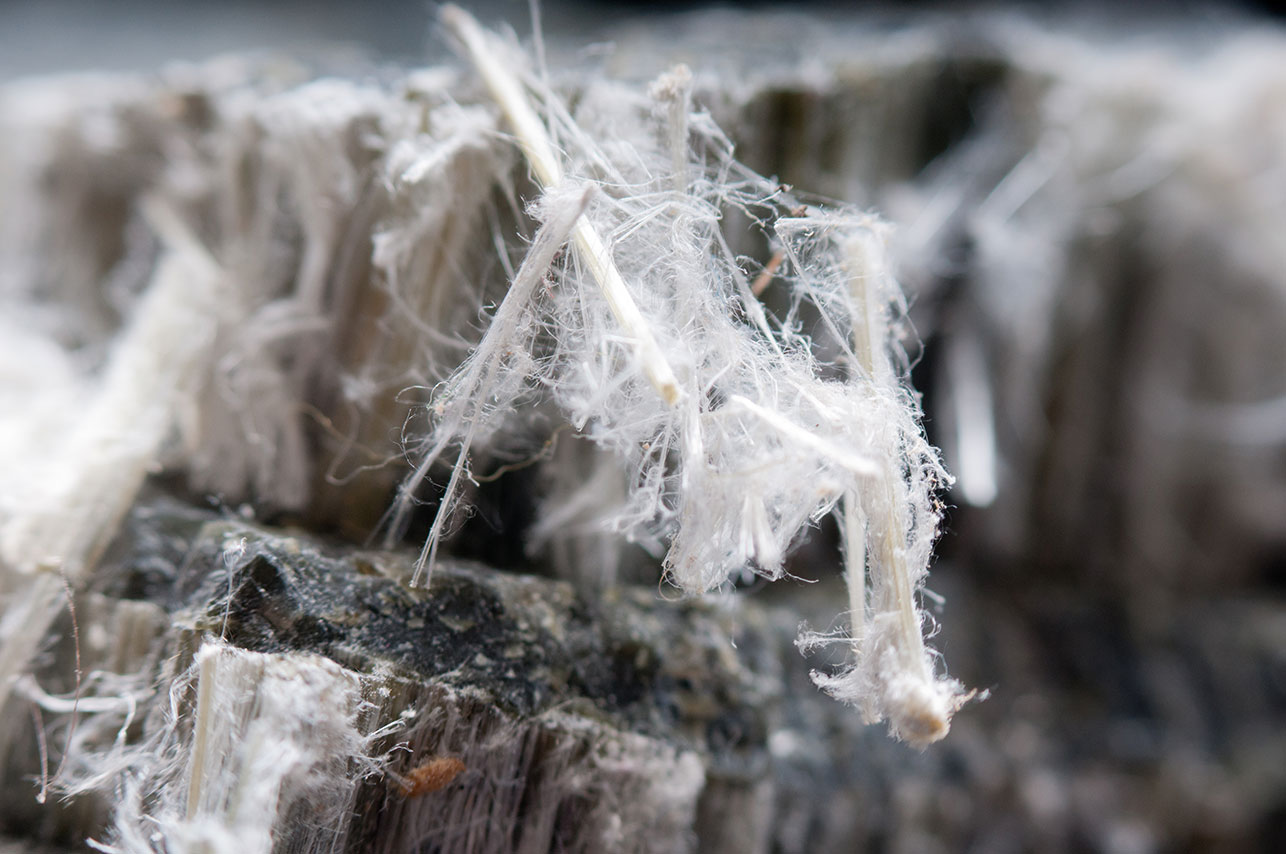 Asbestos chrysotile fibers